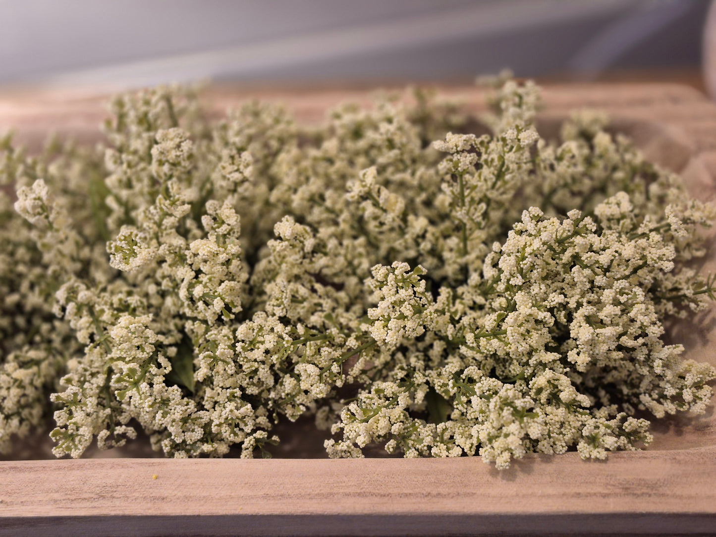 Bursting Astilbe